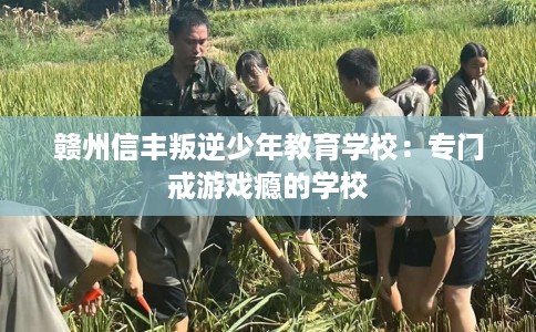 赣州信丰叛逆少年教育学校：专门戒游戏瘾的学校