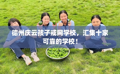 德州庆云孩子戒网学校，汇集十家可靠的学校！