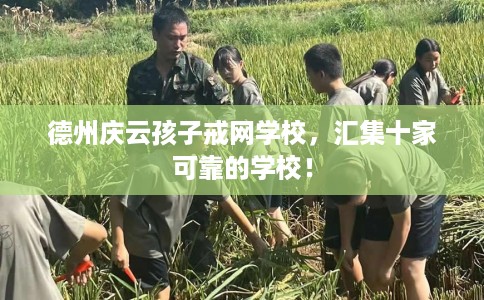 德州庆云孩子戒网学校，汇集十家可靠的学校！