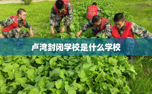 卢湾封闭学校是什么学校