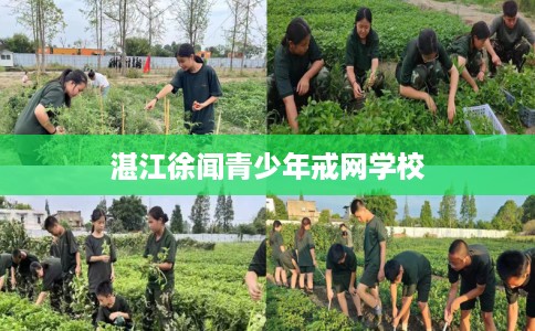 湛江徐闻青少年戒网学校