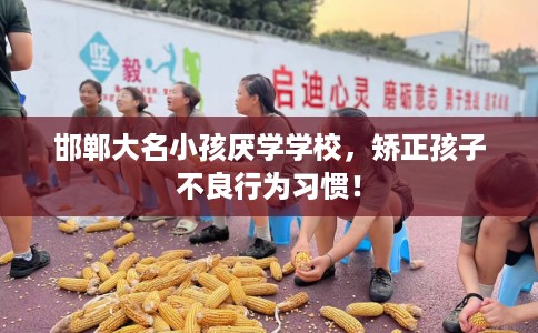 邯郸大名小孩厌学学校，矫正孩子不良行为习惯！