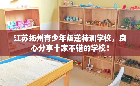 江苏扬州青少年叛逆特训学校，良心分享十家不错的学校！