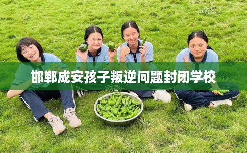 邯郸成安孩子叛逆问题封闭学校