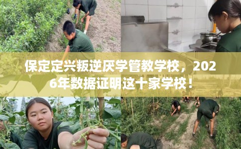 保定定兴叛逆厌学管教学校，2026年数据证明这十家学校！