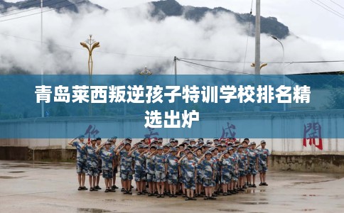青岛莱西叛逆孩子特训学校排名精选出炉