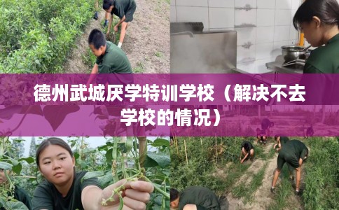 德州武城厌学特训学校（解决不去学校的情况）