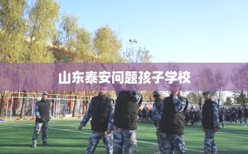 山东泰安问题孩子学校