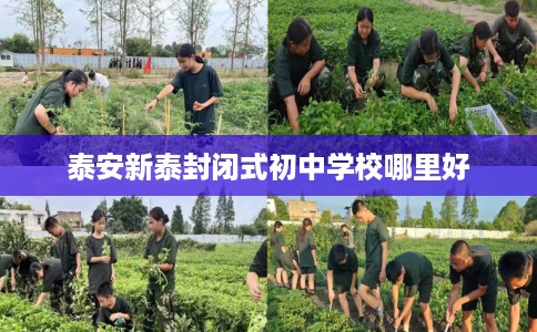 泰安新泰封闭式初中学校哪里好