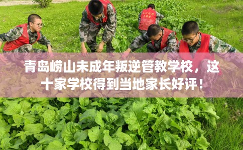 青岛崂山未成年叛逆管教学校，这十家学校得到当地家长好评！