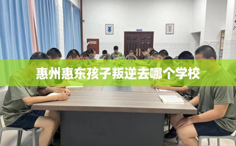 惠州惠东孩子叛逆去哪个学校