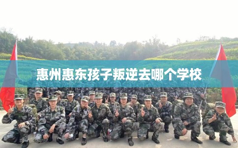 惠州惠东孩子叛逆去哪个学校