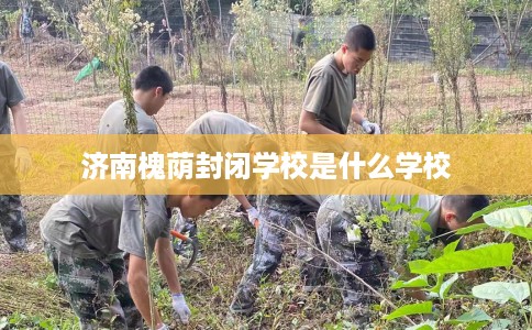 济南槐荫封闭学校是什么学校