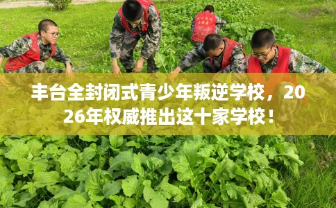 丰台全封闭式青少年叛逆学校，2026年权威推出这十家学校！