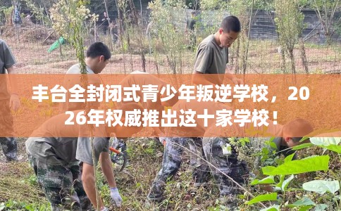 丰台全封闭式青少年叛逆学校，2026年权威推出这十家学校！