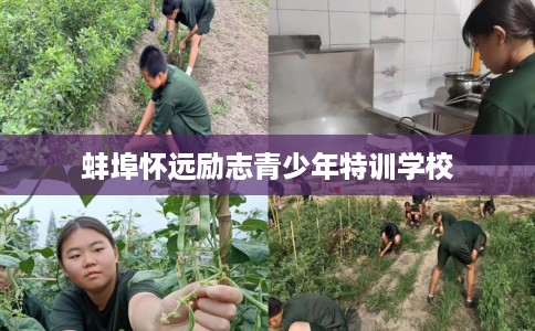 蚌埠怀远励志青少年特训学校