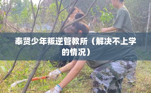 奉贤少年叛逆管教所（解决不上学的情况）