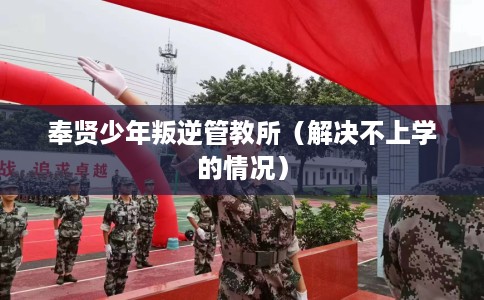 奉贤少年叛逆管教所（解决不上学的情况）