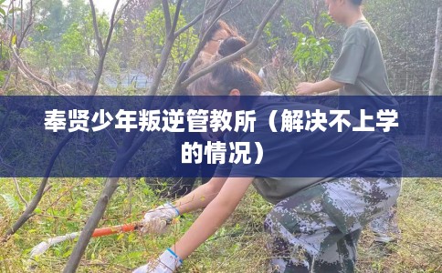 奉贤少年叛逆管教所（解决不上学的情况）