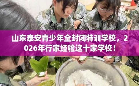 山东泰安青少年全封闭特训学校，2026年行家经验这十家学校！
