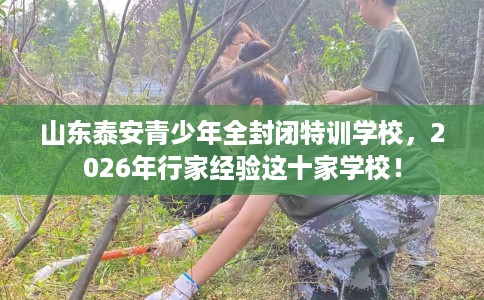 山东泰安青少年全封闭特训学校，2026年行家经验这十家学校！