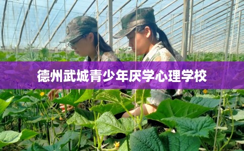 德州武城青少年厌学心理学校