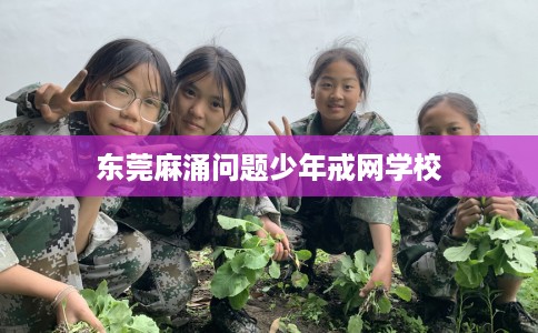东莞麻涌问题少年戒网学校
