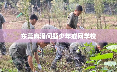 东莞麻涌问题少年戒网学校