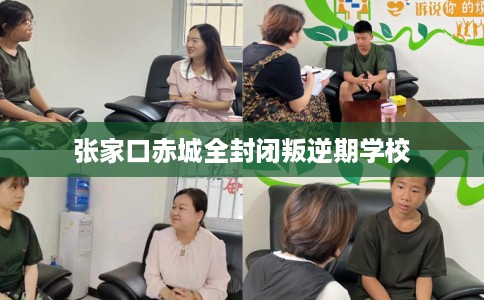 张家口赤城全封闭叛逆期学校