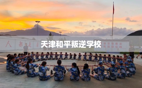 天津和平叛逆学校