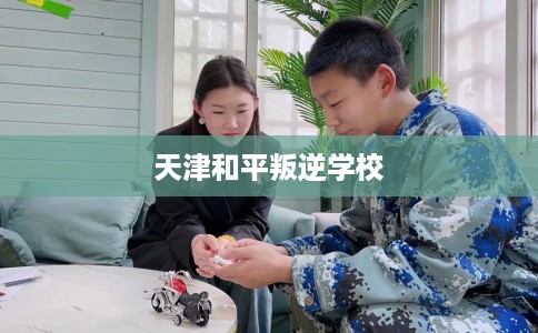 天津和平叛逆学校