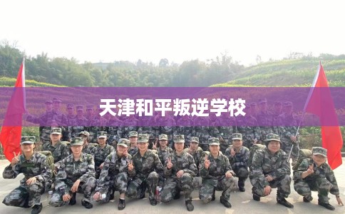天津和平叛逆学校