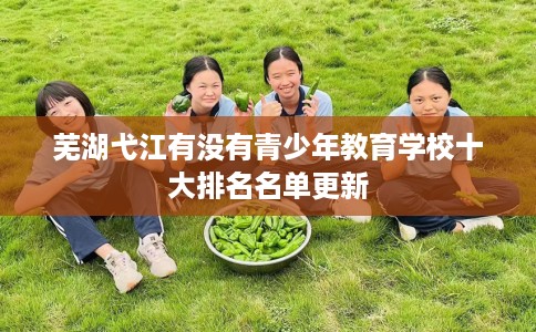 芜湖弋江有没有青少年教育学校十大排名名单更新