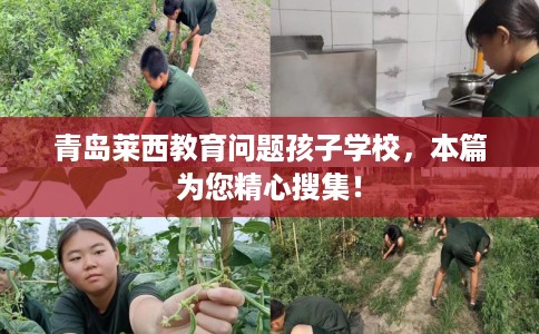 青岛莱西教育问题孩子学校，本篇为您精心搜集！