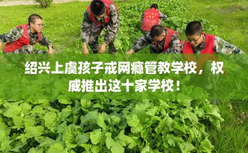 绍兴上虞孩子戒网瘾管教学校，权威推出这十家学校！