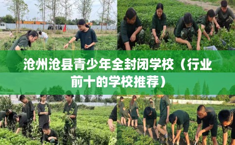 沧州沧县青少年全封闭学校（行业前十的学校推荐）