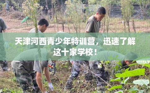 天津河西青少年特训营，迅速了解这十家学校！