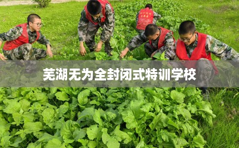芜湖无为全封闭式特训学校