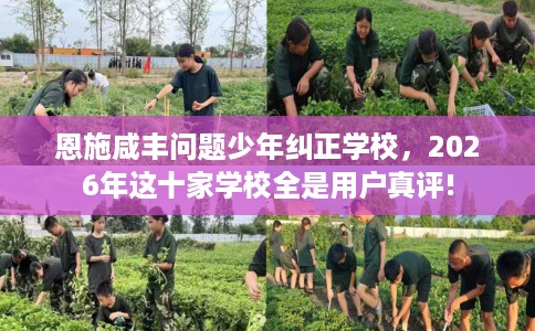 恩施咸丰问题少年纠正学校，2026年这十家学校全是用户真评!