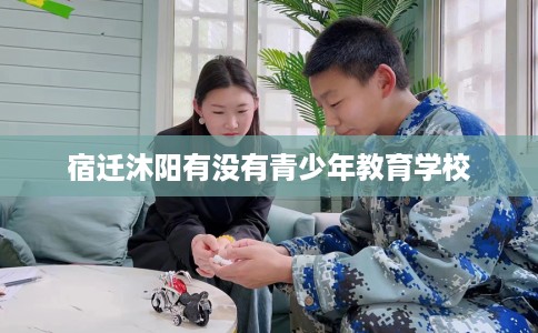 宿迁沐阳有没有青少年教育学校