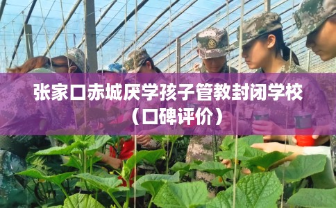 张家口赤城厌学孩子管教封闭学校（口碑评价）