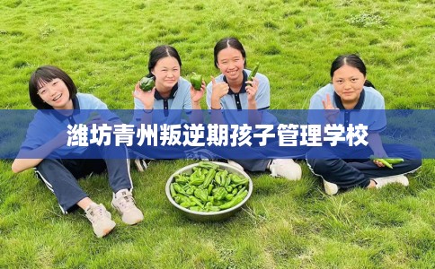 潍坊青州叛逆期孩子管理学校