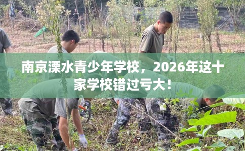 南京溧水青少年学校，2026年这十家学校错过亏大！
