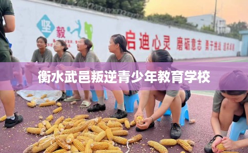 衡水武邑叛逆青少年教育学校
