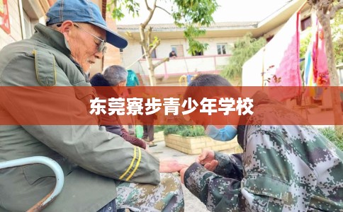 东莞寮步青少年学校