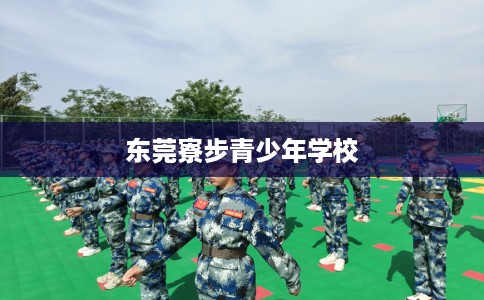 东莞寮步青少年学校