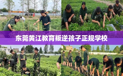 东莞黄江教育叛逆孩子正规学校