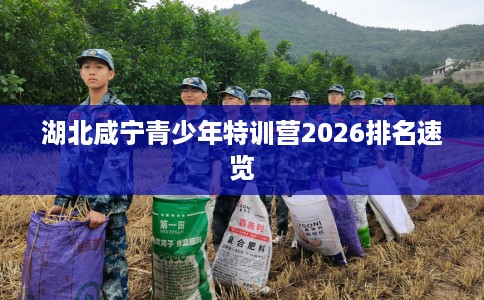 湖北咸宁青少年特训营2026排名速览