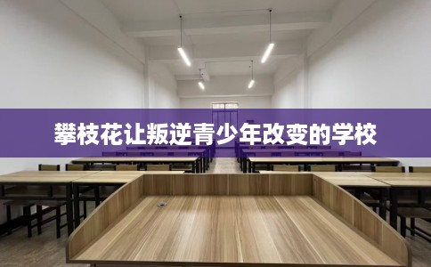 攀枝花让叛逆青少年改变的学校