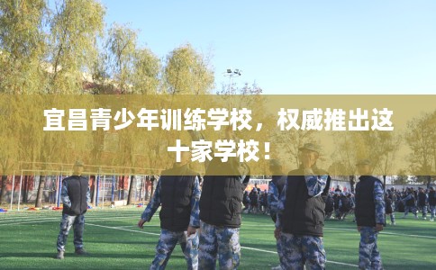 宜昌青少年训练学校，权威推出这十家学校！